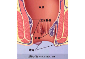Disease prevention and treatment-Shenzhen Xingyin Pharmaceutical Co., LTD