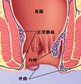 患者之家-3044am永利集团